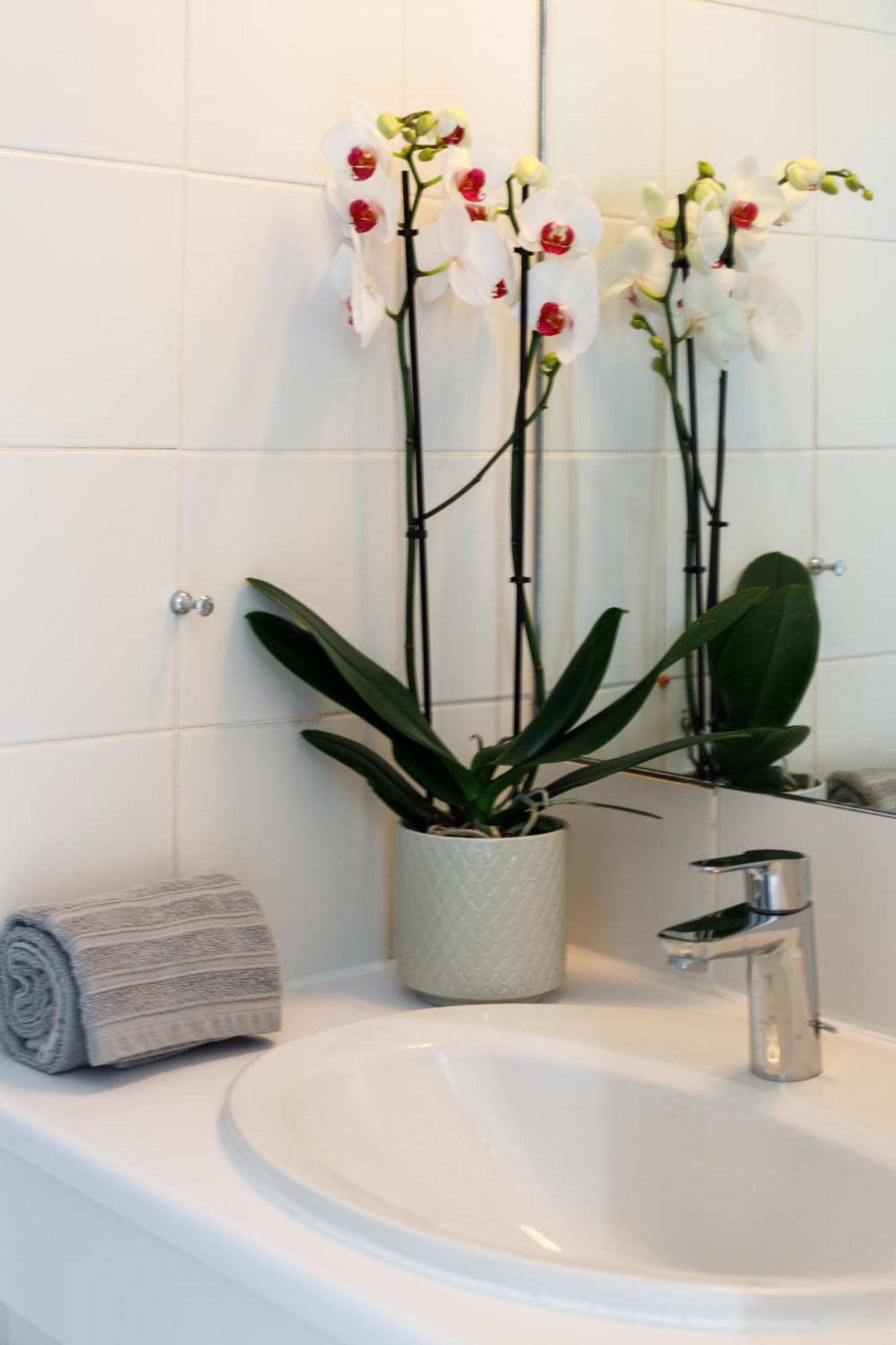 Capsud, La Garde-Freinet Apartment Екстериор снимка